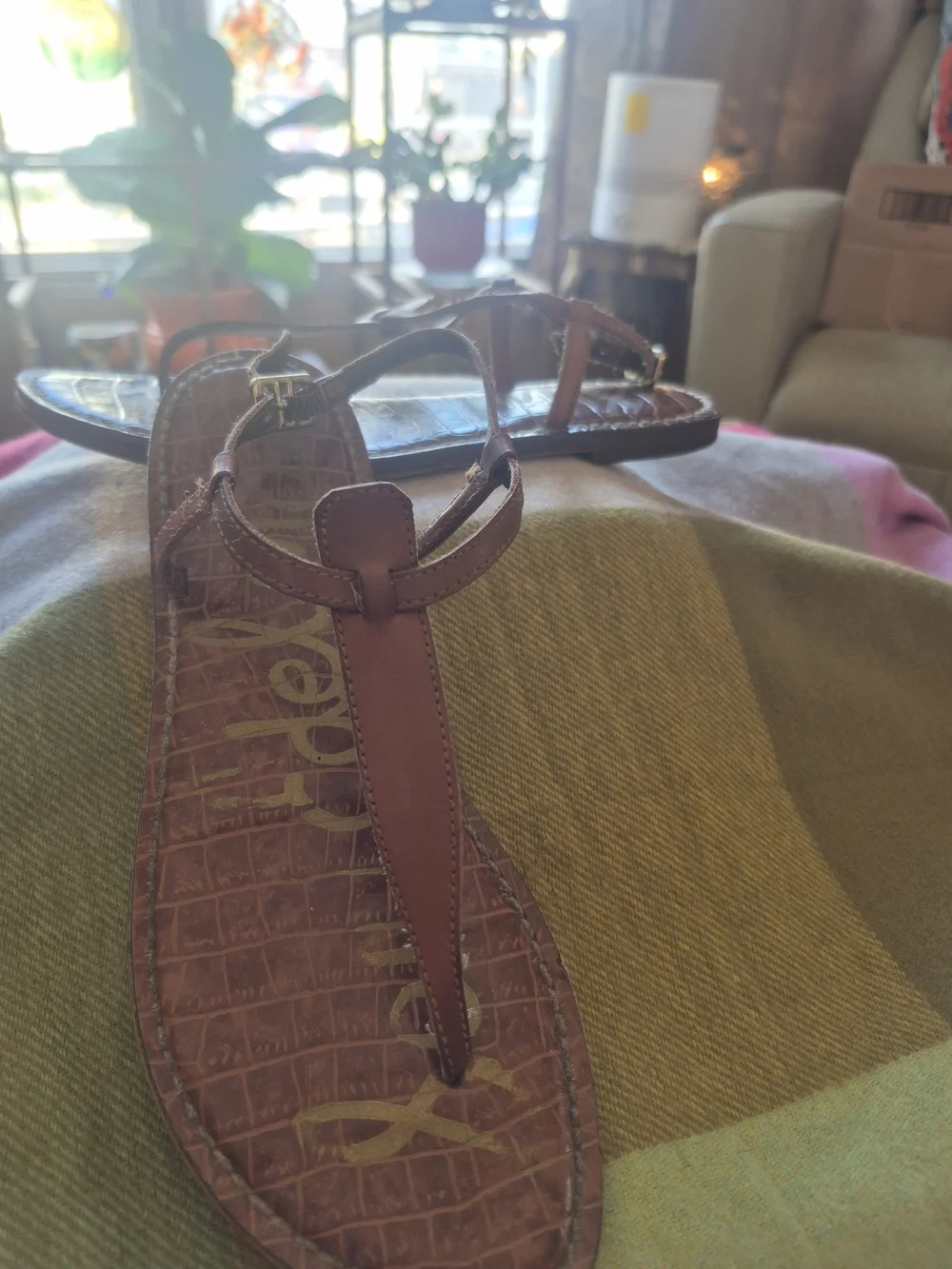 Sam Edelman Brown Leather T-Strap Sandals